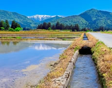 河川の水質浄化